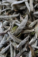 Load image into Gallery viewer, New Arrival | 2025 Taimu Mountain Baihao Yinzhen, the Noble of White Tea, Makes a Stunning Debut