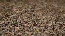 Load image into Gallery viewer, 2025 Wuyishan Tongmu Guan Floral Jinjunmei Black Tea Arrives at Tongxinshe Teahouse! Inviting You to Taste the Essence of Black Tea