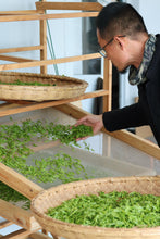 Load image into Gallery viewer, Tongxin She Teahouse: In Search of the Lost Supreme Biluochun
