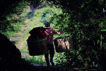 Load image into Gallery viewer, Produced by the inheritor of the intangible cultural heritage of "Niulankeng Rou Gui" in the core production area of Wuyishan Rock Tea in 2024.