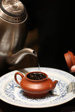 Load image into Gallery viewer, Tongxinshe Teahouse Limited Release | Explore the Century-Old Charm of Wuyi Rock Tea "White Peony" from Matouyan Shuidongkou 水洞口白牡丹