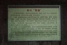 Load image into Gallery viewer, Lapsang Souchong Tongmuguan Black Tea - 2023