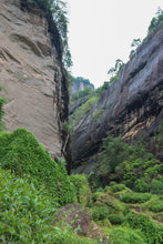 Load image into Gallery viewer, "Niu Lan Keng Qi Zhong" handmade by Mr. Wang Guoxing, the inheritor of the production skills of Wuyi Rock Tea (Da Hong Pao), the first batch of national intangible cultural heritage in Wuyishan City. Each can has Mr. Wang Guoxing's signature, which is of