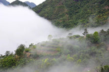 Load image into Gallery viewer, "Tongxin She Teahouse's Caolan Zhilanwang Dancong Tea"