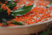 Load image into Gallery viewer, 2023 "Osmanthus Black Tea"/桂花红茶