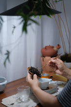 Load image into Gallery viewer, Produced by the inheritor of the intangible cultural heritage of "Niulankeng Rou Gui" in the core production area of Wuyishan Rock Tea in 2024.