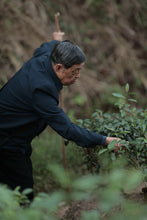 Load image into Gallery viewer, Tongxinshe Teahouse Recommends: Luo Shengcai's Limited-Edition Rock Tea "Xiannvsanhua"– Savoring a Century of Rock Essence and Tea Aroma in One Cup仙女散花