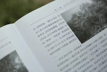 Load image into Gallery viewer, 2022 Wudang Duck Shit Fragrance Phoenix Dancong鸭屎香