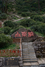 Load image into Gallery viewer, 2026 Tongxin She Tea Journey to Huzhou, Zhejiang: Not All White Tea is Anji White Tea