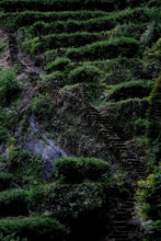 Load image into Gallery viewer, Tongxinshe Teahouse 2025 Wuyi Rock Tea (Core Production Area) Tea Bricks Launch: Niulan Keng & Matouyan Cassia Bark Tea Bricks, Limited Quantity Available
