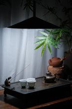 Load image into Gallery viewer, Recommendation of Tongxinshe Teahouse: Embrace the Elegance of the Lotus Seed Teapot in Your Hands