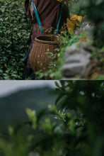 Load image into Gallery viewer, Tongxin She Teahouse | 2026 Premium West Lake Longjing Pre-sale,Baihefeng Yuantoumen: The Hidden Spirit of Jiangnan’s Spring Mountains