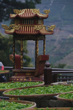 Load image into Gallery viewer, A cup of "Duck Shit Fragrance", taste the charm of Phoenix-Tongxinshe Teahouse's 2025 special duck shit fragrance is stunningly launched