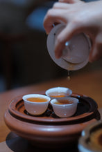 Load image into Gallery viewer, Fujian Oolong Tea Wuyi Rock Tea 2024 Da Keng Kou Rou Gui