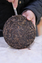 Load image into Gallery viewer, 2016 Lao Banzhang Tea: The Legendary Flavor of the King of Pu'er