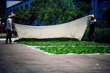 Load image into Gallery viewer, Floral Dahongpao/花香大红袍