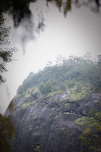 Load image into Gallery viewer, Zhengyan Jin Mu Dan: The Floral Pinnacle of Wuyi Rock Tea。弥陀岩金牡丹