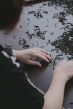 Load image into Gallery viewer, Guangdong Fenghuang Dancong ancient trees "Dai Zhao Tea"