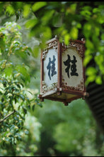 Load image into Gallery viewer, Autumn Limited 2026 · Osmanthus-scented Jiuqu Hongmei桂花九曲红梅/Limited complimentary sample sharing