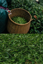 Load image into Gallery viewer, Tongxin She Teahouse | 2026 Premium West Lake Longjing Pre-sale,Baihefeng Yuantoumen: The Hidden Spirit of Jiangnan’s Spring Mountains