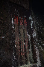 Load image into Gallery viewer, 2020 Traditional Wuyi Rock Tea "Wu Yuan Jian Rou Gui"