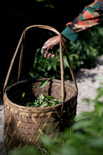 Load image into Gallery viewer, Rock Bones Hide Treasures, Craftsmanship Bears Signature – Tongxinshe Presents 2025 Intangible Cultural Heritage Grade Niulan Keng Qizhong (8.3g per Can) to Tea Lovers 牛栏坑奇种