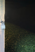 Load image into Gallery viewer, Smoke Penetrates the Leaf, Longan Sweetness Lingers Tongxin She’s 2023 Tongmuguan Smoked Lapsang Souchong Four Years of Aging, Returning to the Origin of Black Tea烟熏小种/YAn XUN XIAO ZHONG
