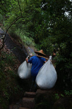 Load image into Gallery viewer, Tongxinshe Teahouse Limited Release | Explore the Century-Old Charm of Wuyi Rock Tea "White Peony" from Matouyan Shuidongkou 水洞口白牡丹