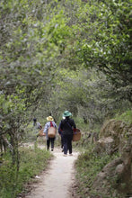 Load image into Gallery viewer, "Tongxin She Teahouse's Caolan Zhilanwang Dancong Tea"