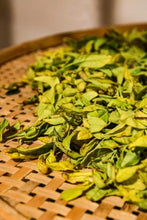 Load image into Gallery viewer, Tongxin She Teahouse 2025 Limited Launch | Handmade Bai Jiguan by Gao Peng and His Mother, A Cup Holds the Elegance of Wuyi白鸡冠。