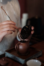 Load image into Gallery viewer, Concentric House Teahouse's Quest for Wuyi Rare Cultivar: Zui Gui Ji