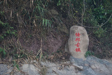 Load image into Gallery viewer, Yi Bang PuerSheng Tea Ancient Tree Cat's Ear/猫耳朵古树普洱生茶.