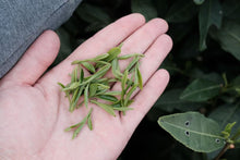 Load image into Gallery viewer, Tongxin She Teahouse: Tracing the Source of Premium West Lake Longjing Tea, Customizing the Supreme Flavor of Spring Tea