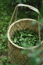 Load image into Gallery viewer, Exploring the Secret of Wuyi: Tongxinshe Teahouse Recommends the Niche Treasure "Lotus Peak Huang Qi"莲花峰黄奇