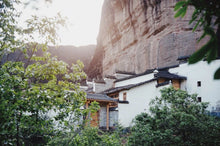 Load image into Gallery viewer, 2023 Ma Tou Yan Zheng Yan Rou Gui/马头岩正岩肉桂