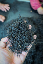 Load image into Gallery viewer, Tongxinshe's first black tea in 2025 is amazing! Tongmuguan Flower Fragrance Black Tea invites you to taste the century-old tea fragrance