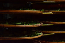 Load image into Gallery viewer, 2024 The Yanyun Qilan: The Tea Aroma and Elegance Condensed by Time