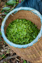 Load image into Gallery viewer, Tongxin Tea House March Trip to Yixing | Tasting the First-Pick Yangxian Xueya,The Spring Freshness Hidden in the Capital of Zisha