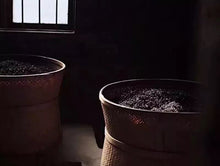Load image into Gallery viewer, The Tea Charm Tempered by Time: A Tasting and Sharing of the 2010 Aged Dahongpao in Tongxin She Teahouse