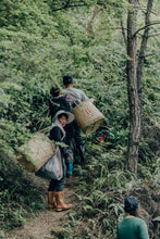 Load image into Gallery viewer, 2024 Tao Xi Da Hong Pao (Peach Fragrance Da Hong Pao)桃喜大红袍。