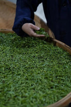 Load image into Gallery viewer, 2025 Wuyishan Tongmu Guan Floral Jinjunmei Black Tea Arrives at Tongxinshe Teahouse! Inviting You to Taste the Essence of Black Tea