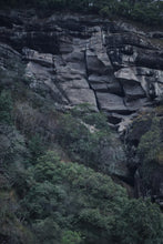 Load image into Gallery viewer, Tongxinshe Teahouse 2025: "Liulanxiang" – Rare Premium Wuyi Rock Tea from Core Cliff Terroir 留兰香