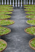 Load image into Gallery viewer, 2023 Oolong Tea "Phoenix Dancong/Milan Xiang"