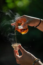 Load image into Gallery viewer, Tongxin She Teahouse 2025 Wuyi Rock Tea Mantuo Peak Huangjingui Tasting 黄金桂