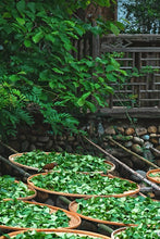 Load image into Gallery viewer, New Product Launch | Handmade by Intangible Cultural Heritage Inheritor Wang Guoxing, 2025 Matouyan Rougui "Horse Meat" Makes a Grand Debut 马头岩肉桂