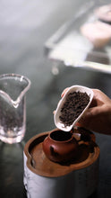 Load image into Gallery viewer, The Charm of Aged Liu Bao Tea: The 1992 Vintage