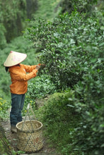 Load image into Gallery viewer, Exploring the Secret of Wuyi: Tongxinshe Teahouse Recommends the Niche Treasure "Lotus Peak Huang Qi"莲花峰黄奇