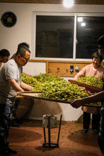 Load image into Gallery viewer, 2024 Wuyi Queshe: A Rare Treasure in Rock Tea