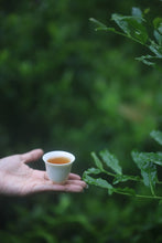 Load image into Gallery viewer, Tongxinshe Teahouse 2025 New Launch | "Peach Delight" Da Hong Pao - Limited Free Tasting Available桃喜大红袍