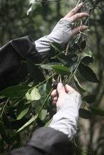 Load image into Gallery viewer, Time-Aged Rhythm of Ancient Groves – Tongxin She's 2018 Huiyuan Keng Luxiu Old Arbor Shui Xian